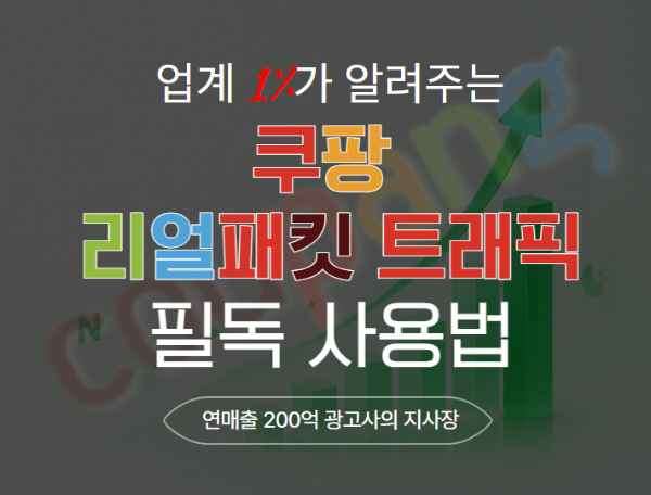 쿠팡 트래픽